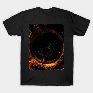 Digital collage, special processing. Spider in the hole. v2 T-Shirt